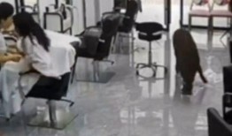 江西理发店最新爆料,揭秘行业潜规则与消费陷阱